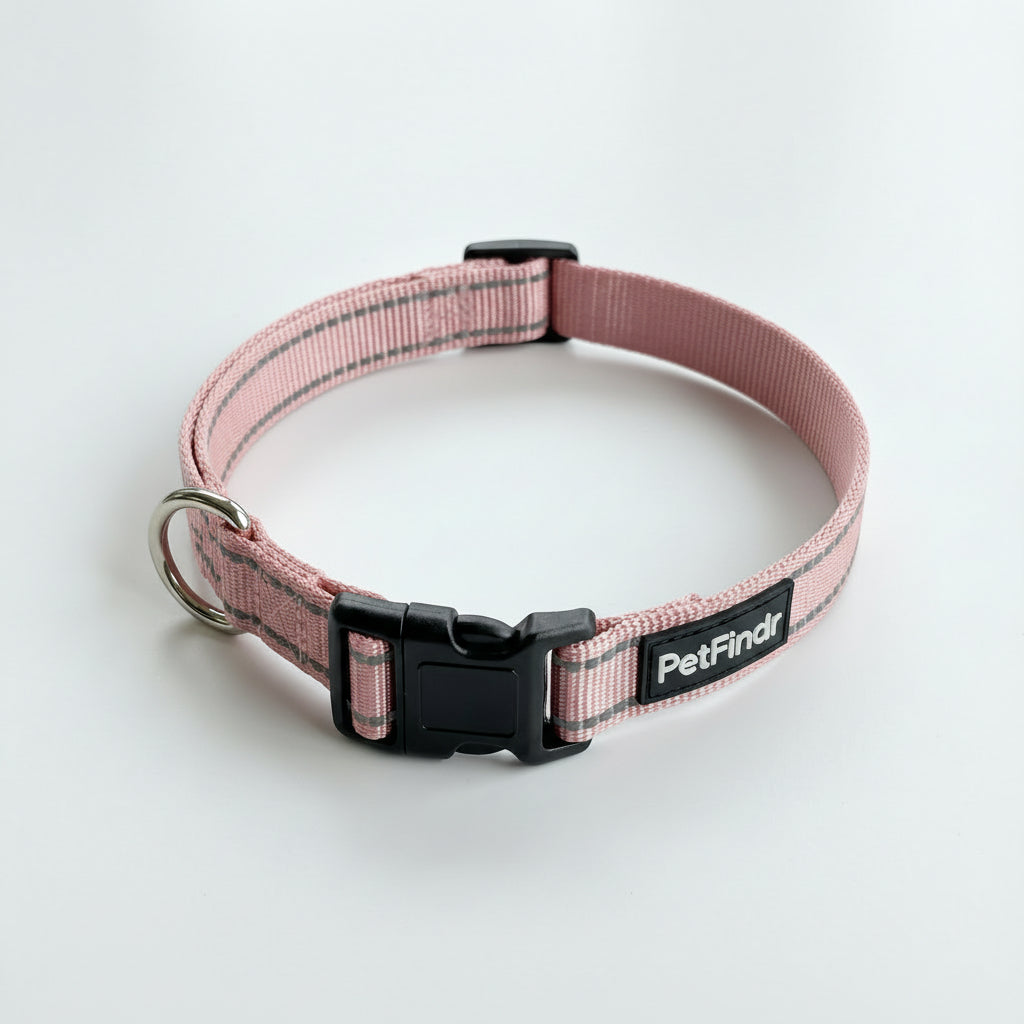 PetFindr Dog Collar