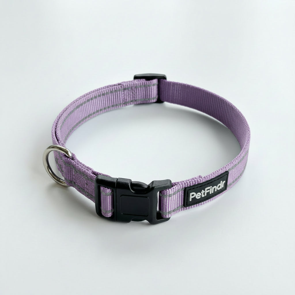 PetFindr Dog Collar