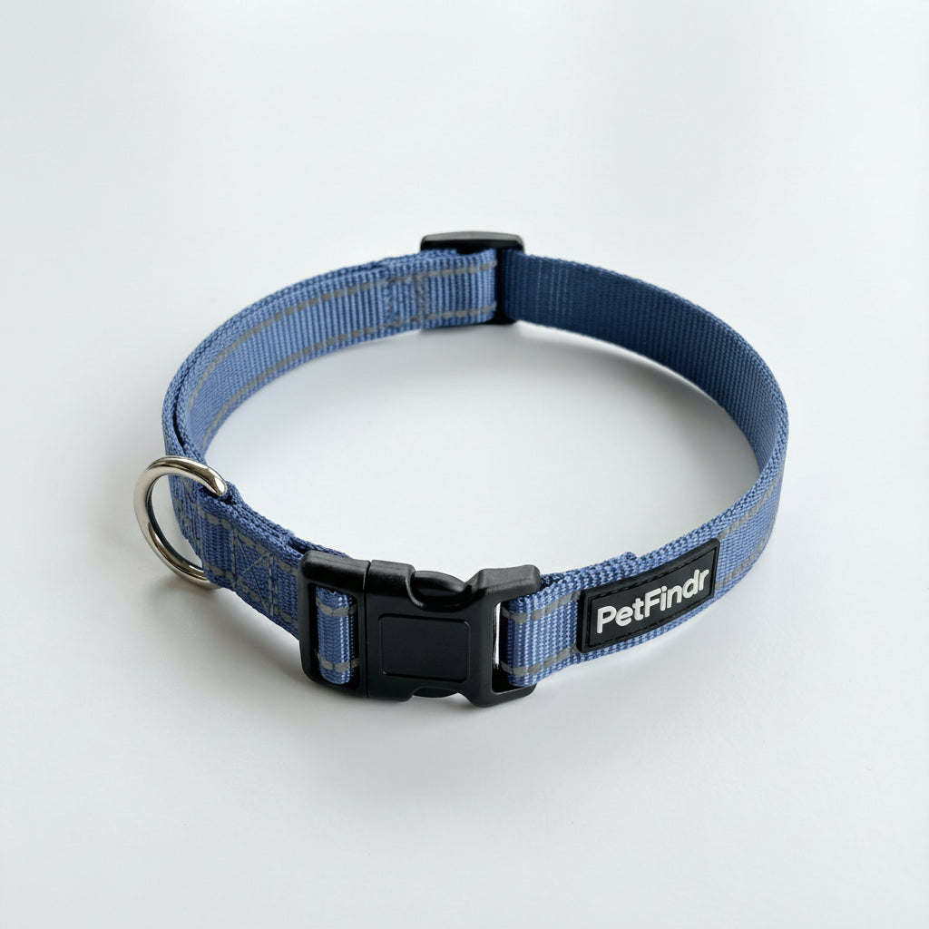 PetFindr Dog Collar