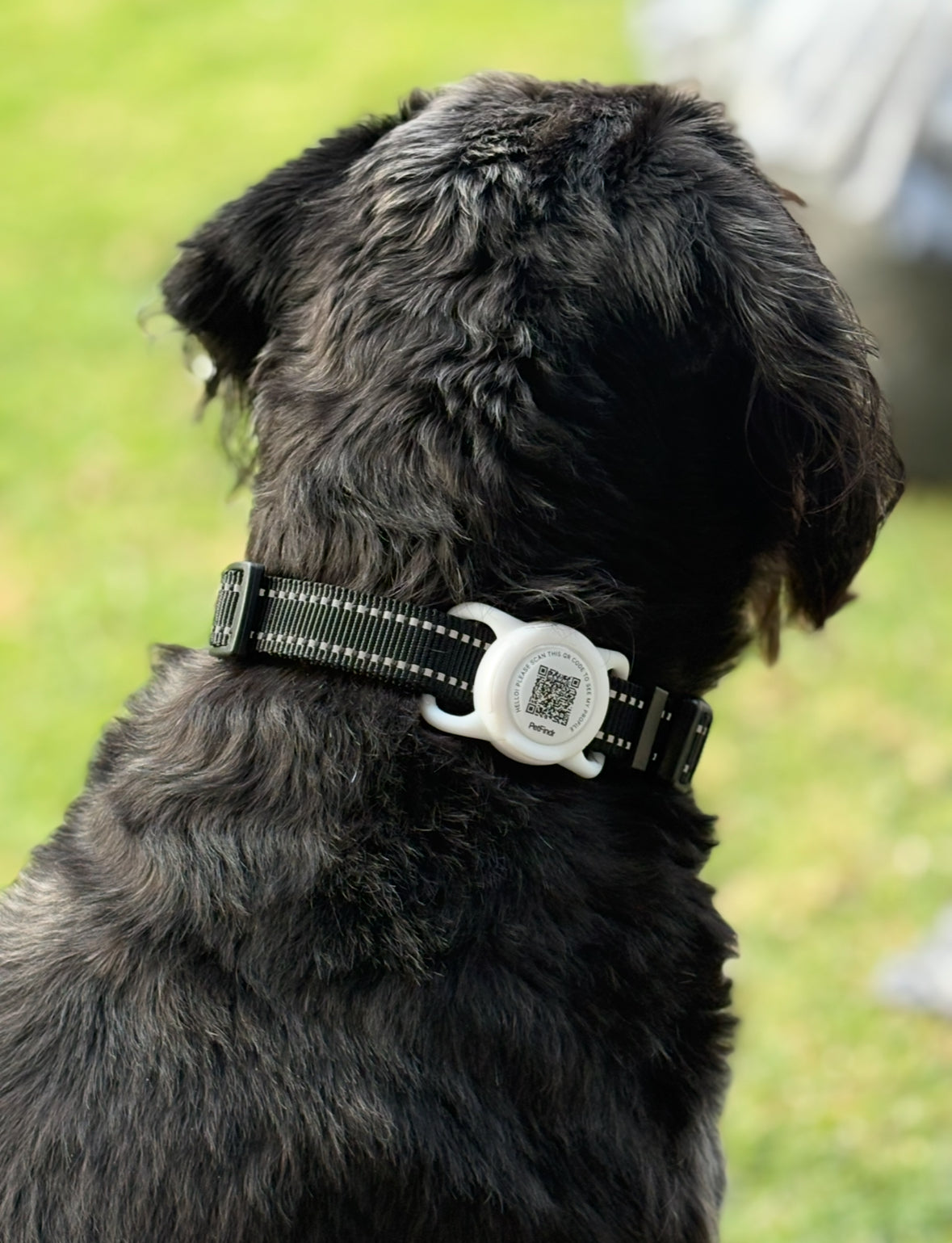 Smart Dog ID Tag + Location Alerts