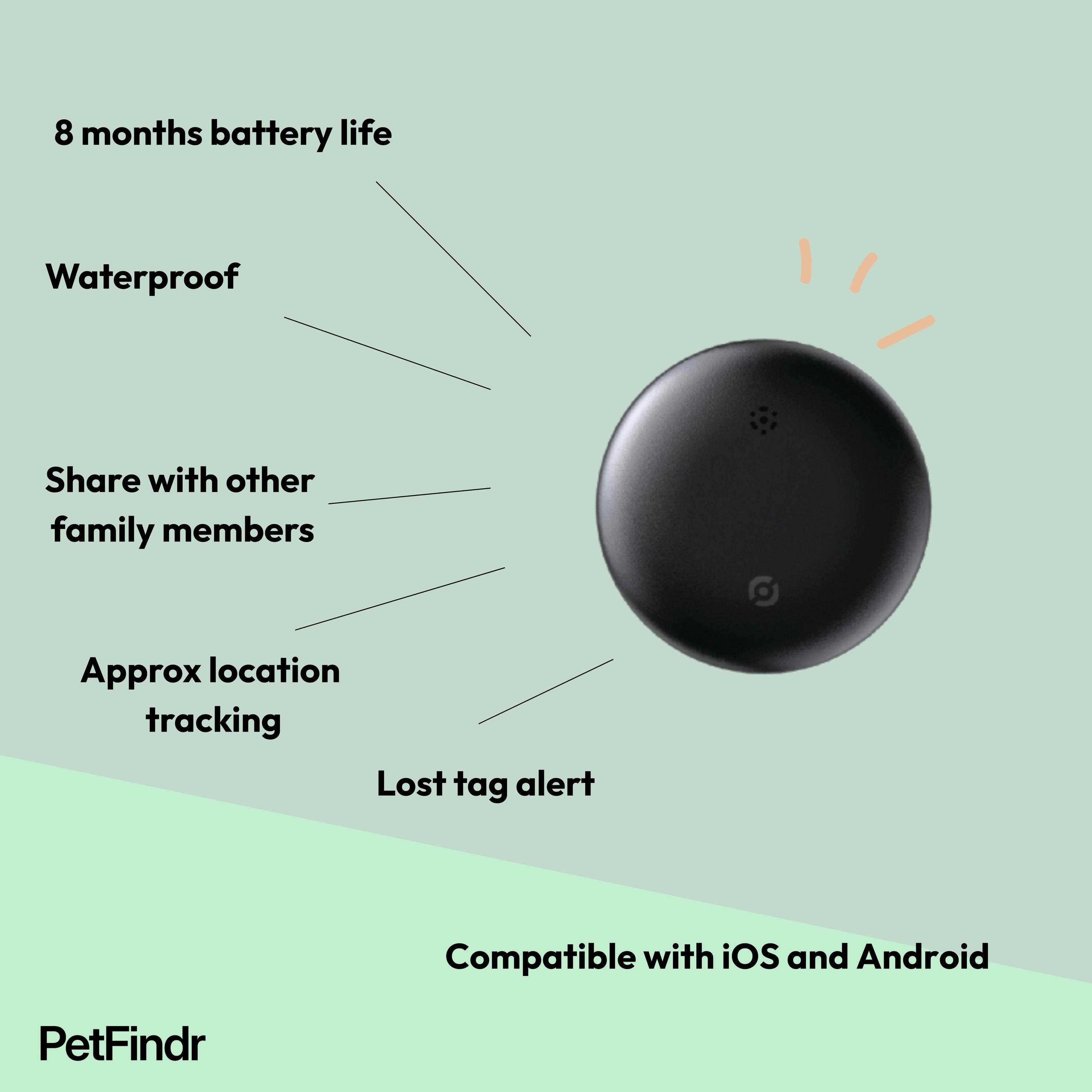 Findr Tag + Smart Tag Bundle (Pet Profile + Location Tracking)