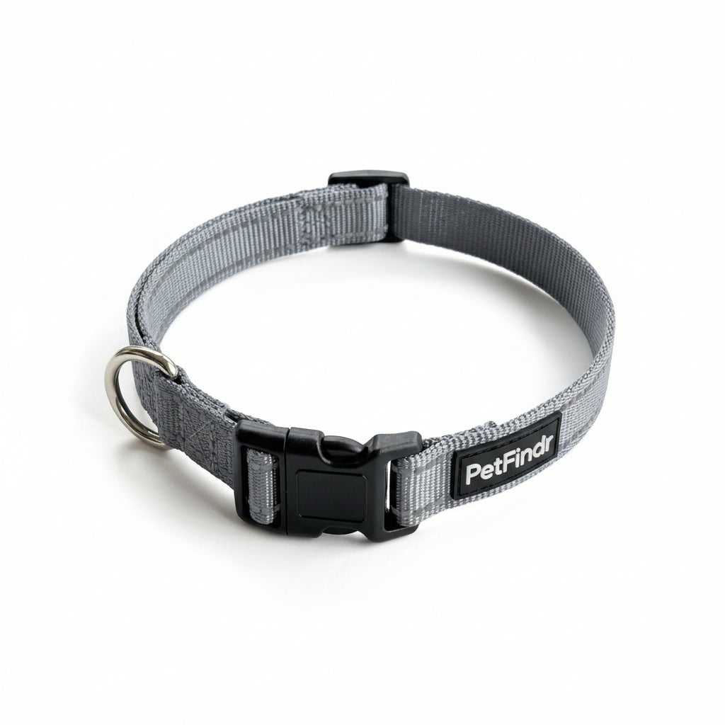 PetFindr Dog Collar