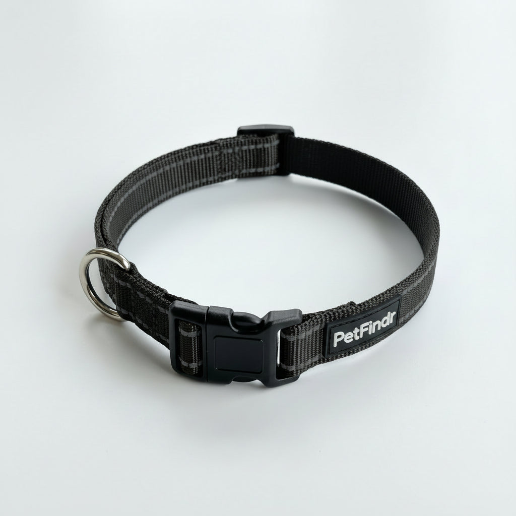 PetFindr Dog Collar